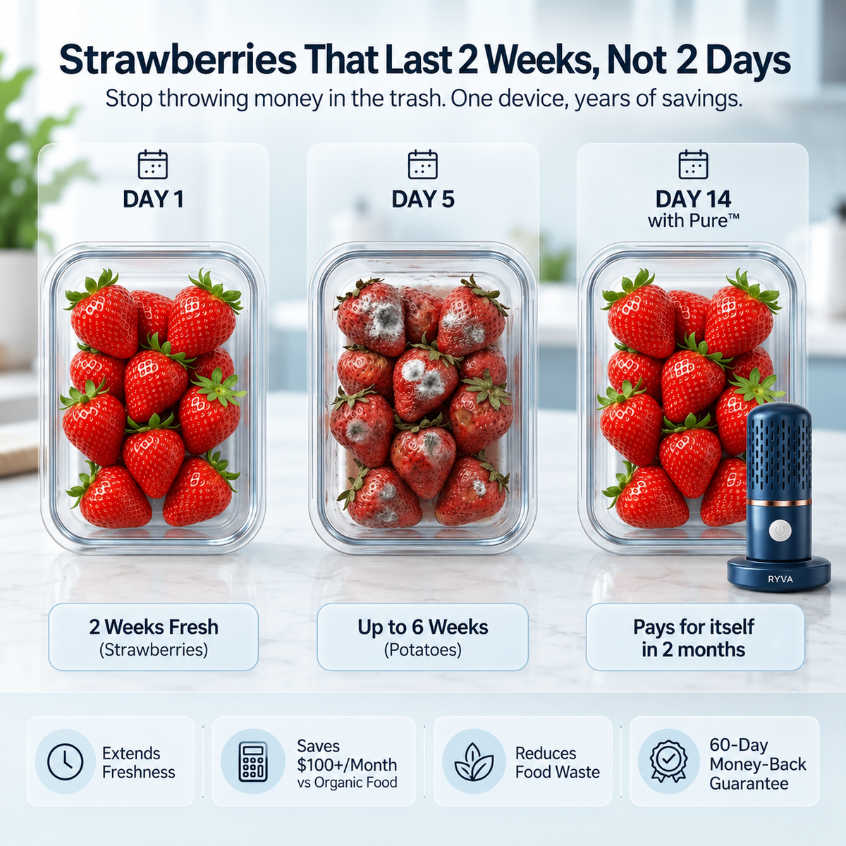 RYVA Pure™ Produce Purifier